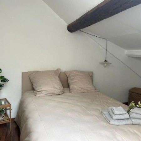 Apartament Le Fleuri - Reims - Wifi Gratuit - Quartier Calme Zewnętrze zdjęcie