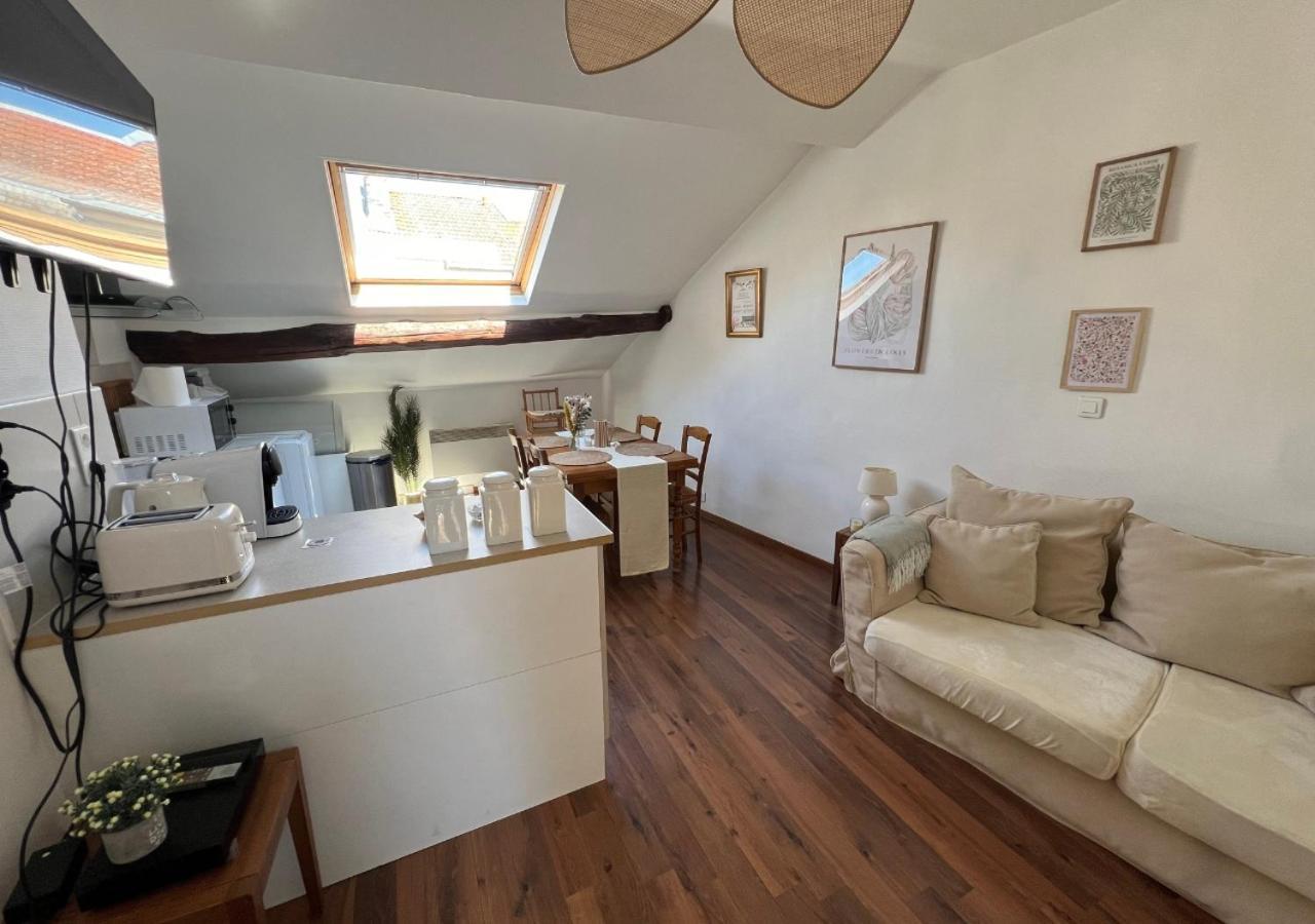 Apartament Le Fleuri - Reims - Wifi Gratuit - Quartier Calme Zewnętrze zdjęcie