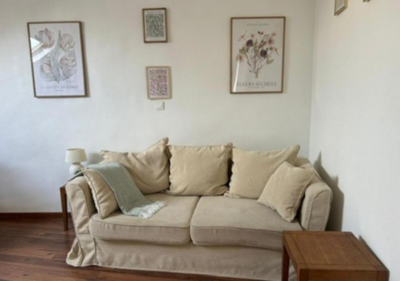 Apartament Le Fleuri - Reims - Wifi Gratuit - Quartier Calme Zewnętrze zdjęcie